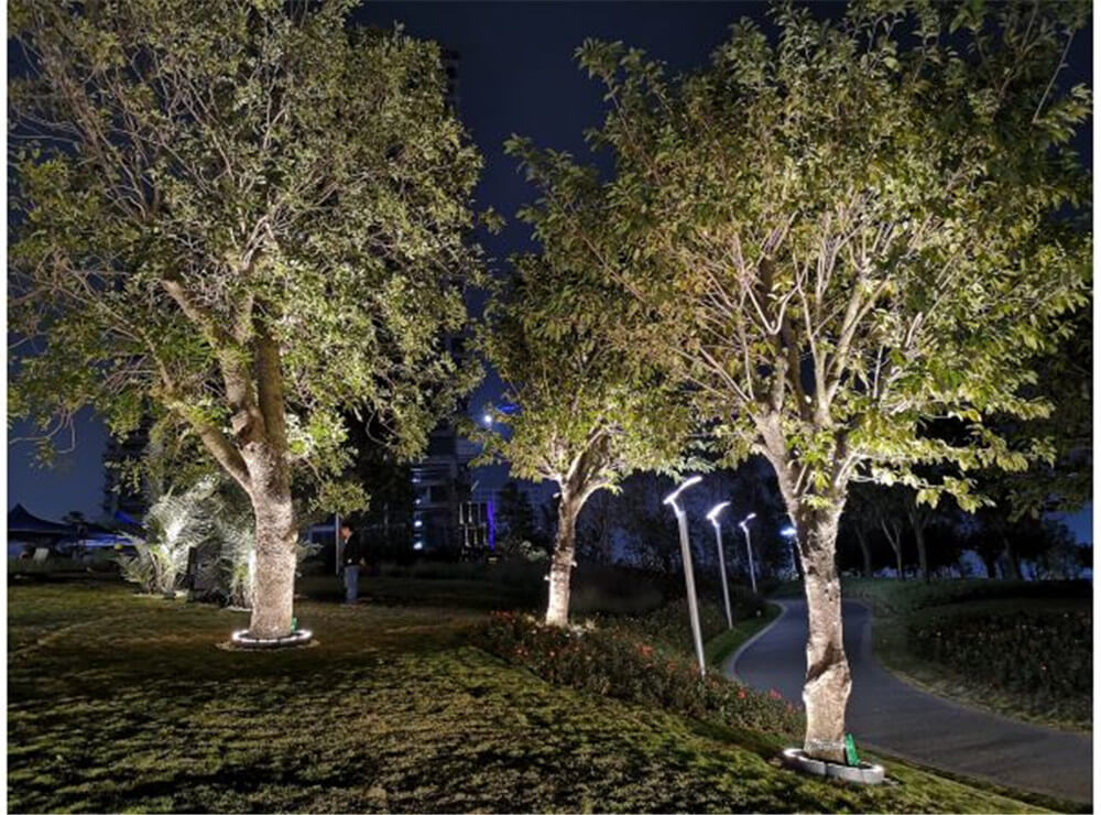 永盈会抱树灯又双叒叕获奖啦！