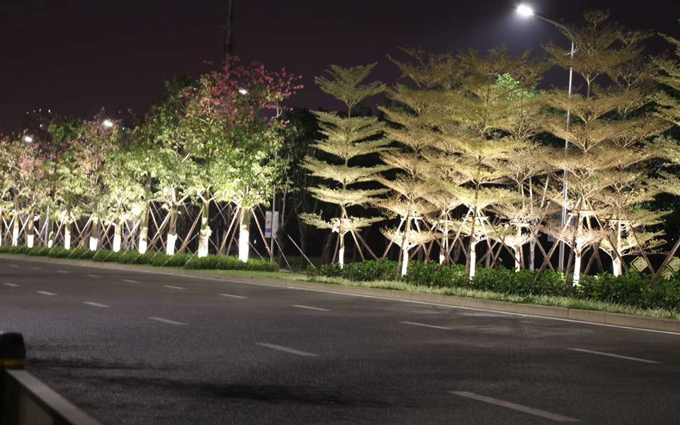 泉州主干道亮化